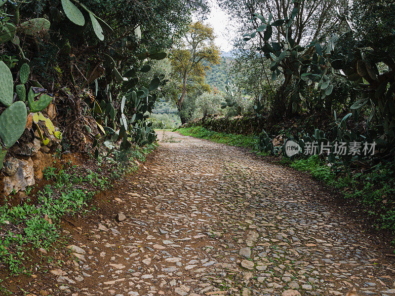 石山小径在树木和石墙之间，复制空间