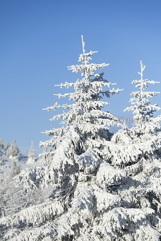 从滑雪坡在Kvitfjell高山滑雪胜地在挪威