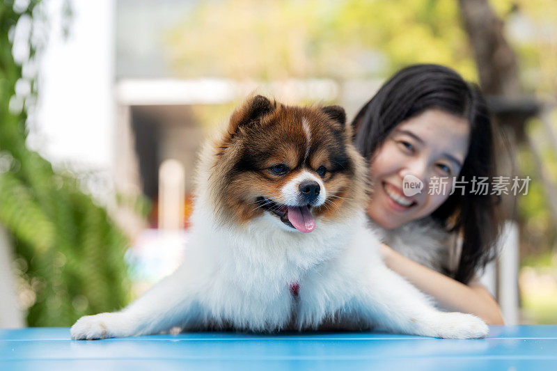 在郁郁葱葱的花园里，一只波美拉尼亚狗和它的主人一起坐在桌子上，这是一个完美的户外日子。这只棕色的小博美犬散发着兴奋的气息，它毛茸茸的皮毛证明了在户外的快乐。