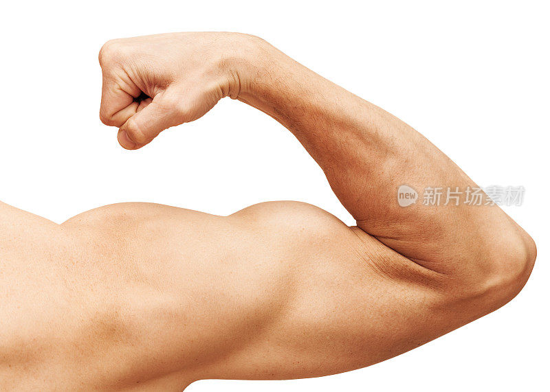 强壮的男性手臂显示二头肌。特写照片孤立在白色