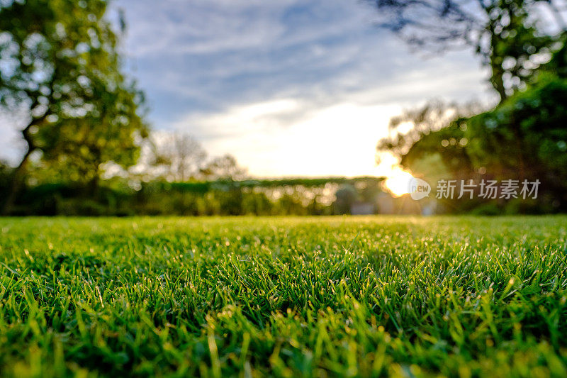 晚春壮丽的日落，显示了最近修剪和维护良好的大草坪在农村的位置。