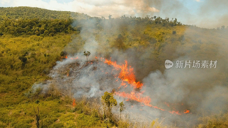 森林火灾。Busuanga,菲律宾巴拉望省
