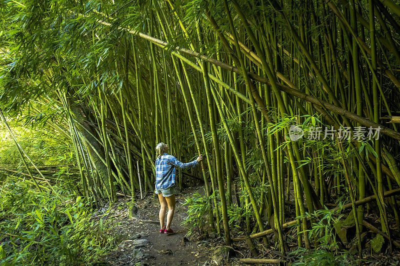 一名妇女在毛伊岛的竹林中行走。