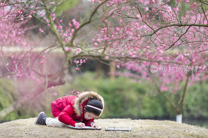 女孩在梅花树下画画。