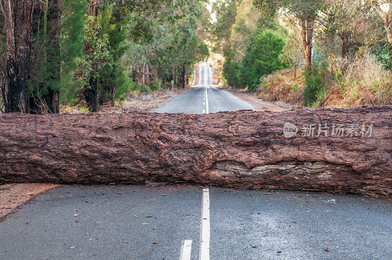 问题-倒下的树挡住了前面的路