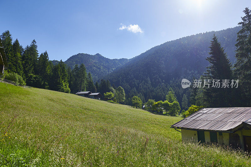 意大利白云岩区的草地