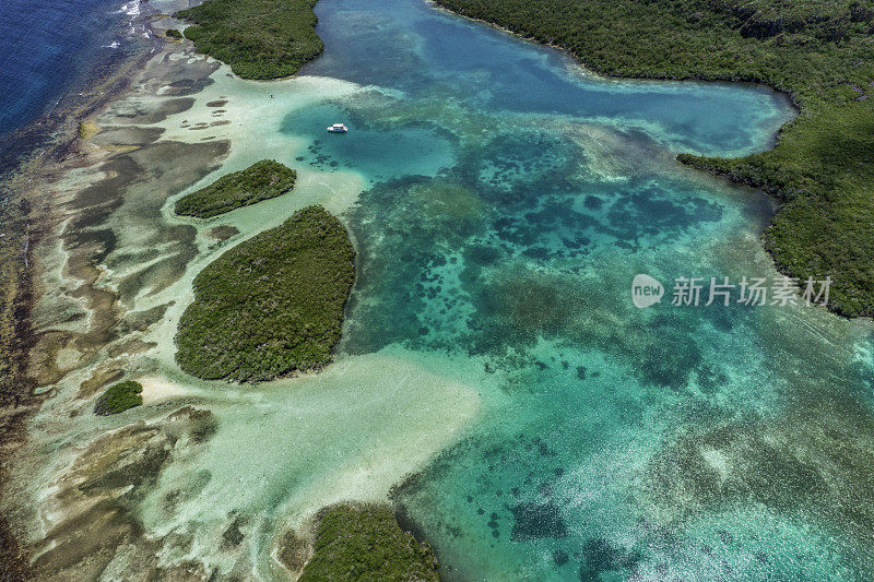 鸟瞰图红树林之间的珊瑚礁和浅蓝的水域在加勒比海。