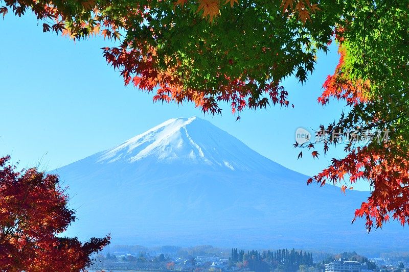 日本富士五湖地区的富士山和秋叶