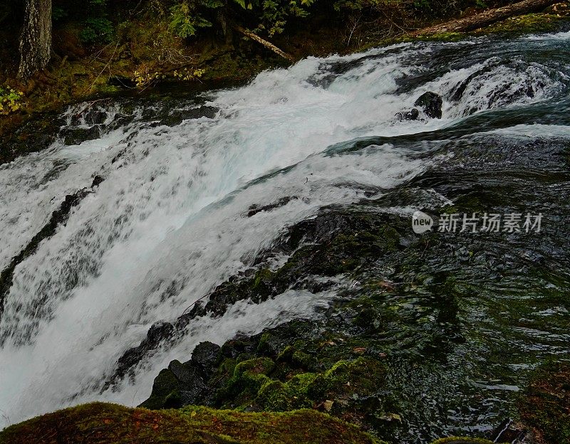 麦肯齐白水