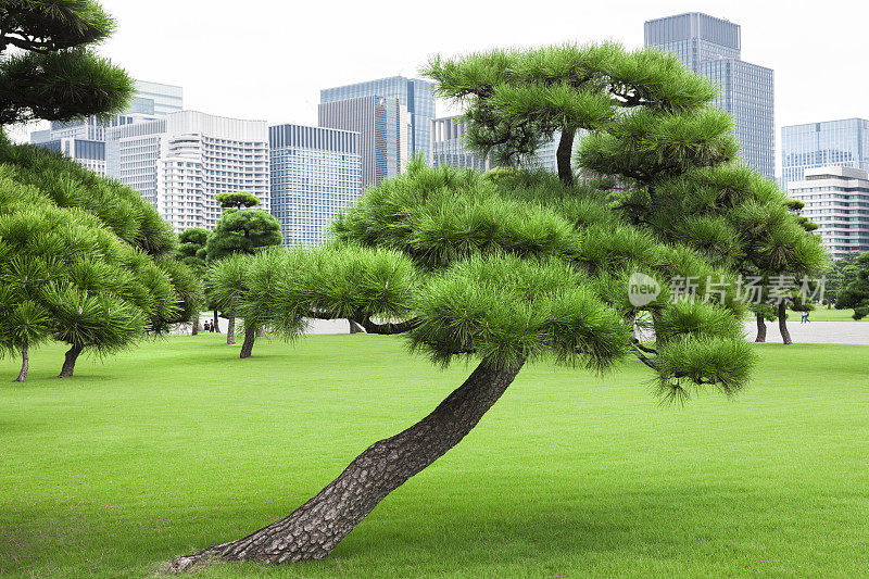 日本东京千代田区城市公园