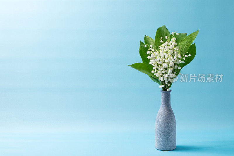 铃兰(铃兰)-在蓝色背景上的花瓶中的花束