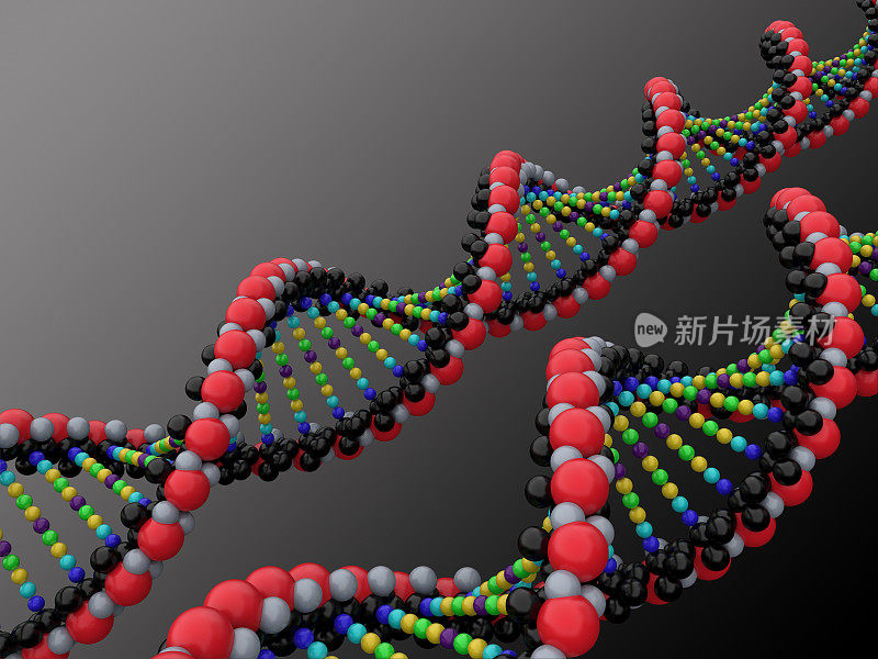 三维DNA