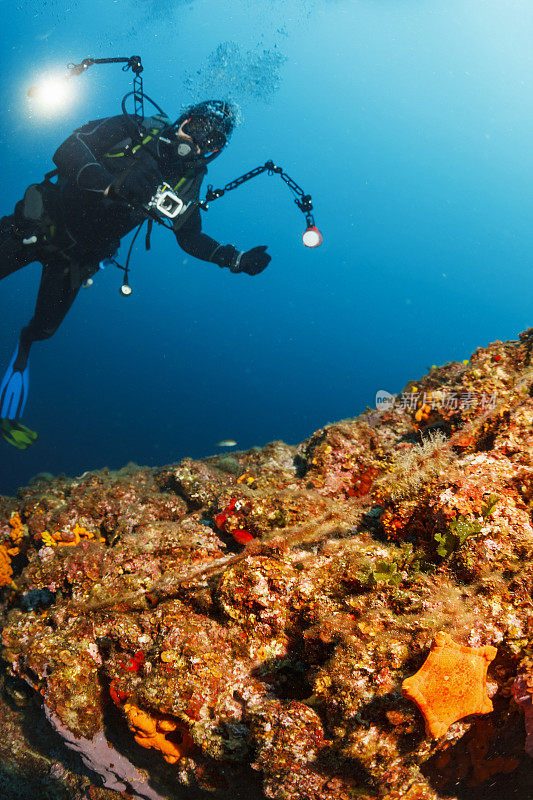 水下摄影师水肺潜水员拍摄珊瑚礁海洋生物海星