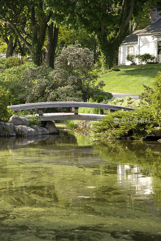 桥在池塘