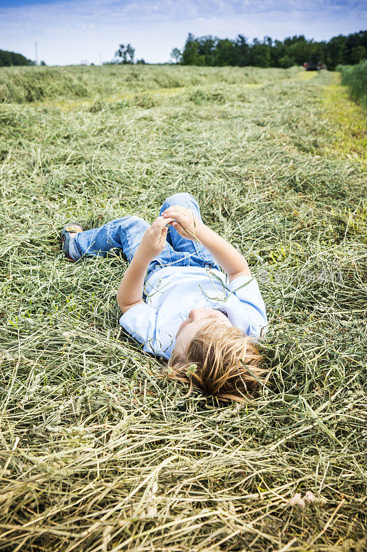 躺在一片新割的干草地里