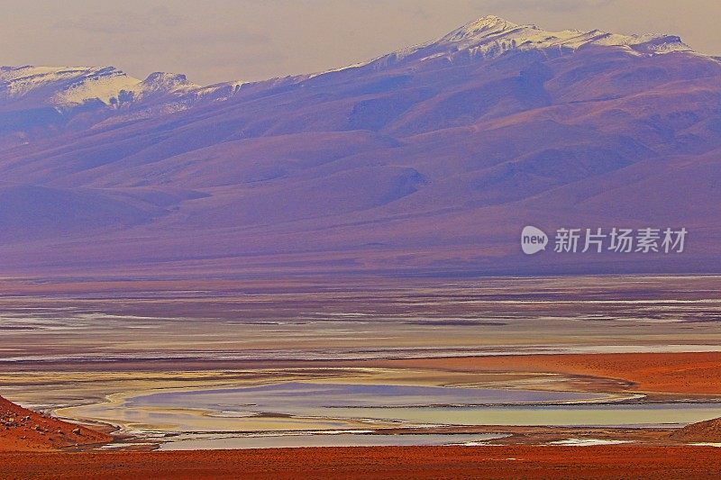 令人印象深刻的玻利维亚安第斯高原，湖泊沼泽山谷，和田园诗般的阿塔卡马沙漠，火山景观全景-波托西地区，玻利维亚安第斯，智利，Bolívia和阿根廷边境