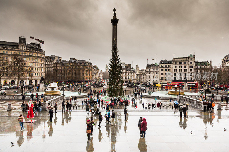 英国伦敦，游客们在特拉法加广场的圣诞树旁