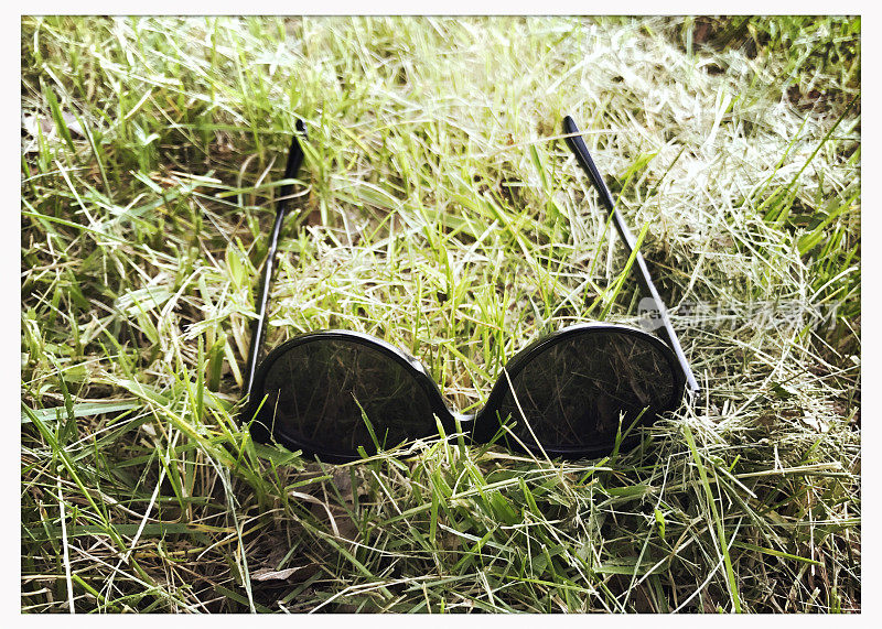 草地上的太阳镜