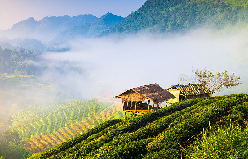 泰国北部山区的清晨日出全景