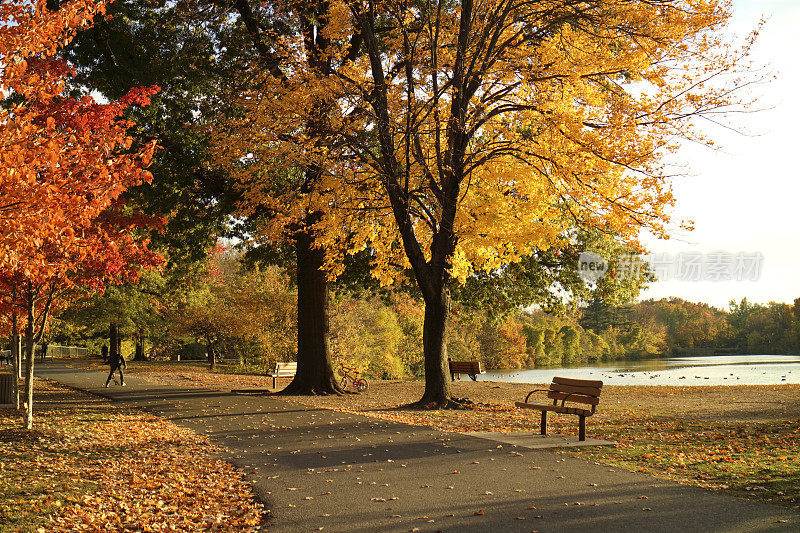 秋日时分，在公园的湖边小路上