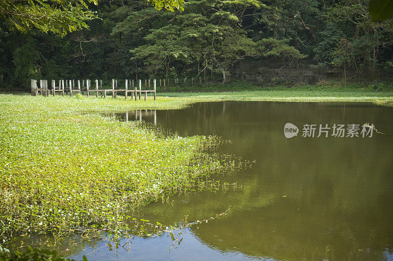 平静的湖