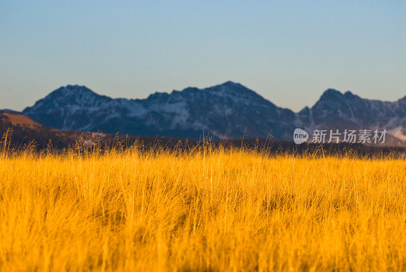 草地和山景城