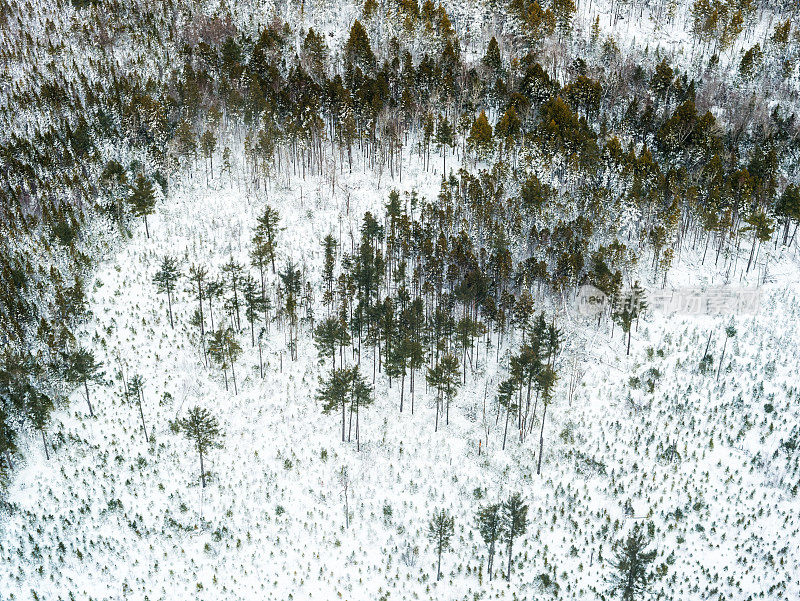 空中北部北海道