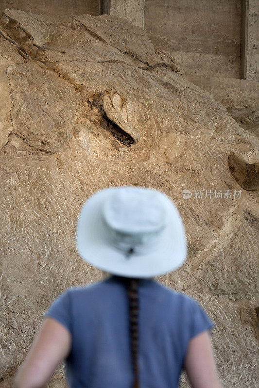 妇女观看圆顶龙骨架恐龙国家纪念碑犹他州