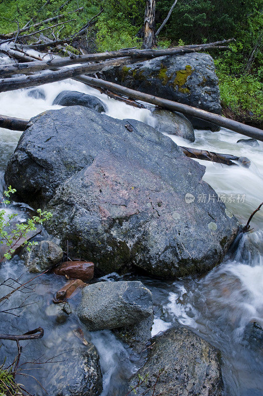 小溪里的大石头和倒下的树