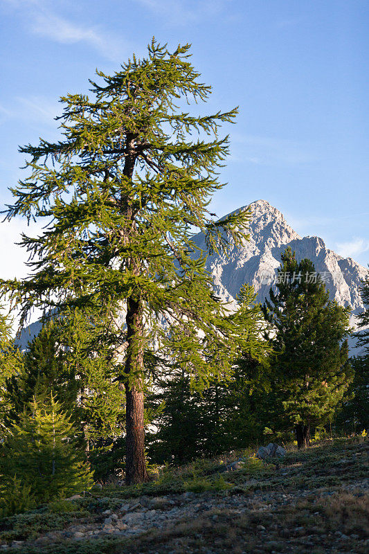 山景，夏伯顿山没有人