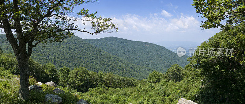 蓝岭山脉