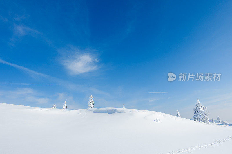 阳光明媚的冬日