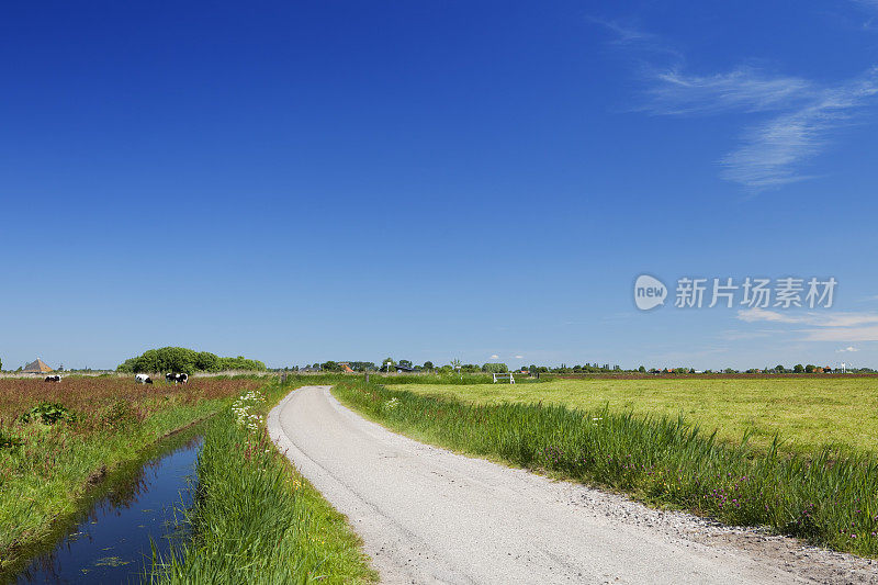 荷兰的乡村景观在一个晴朗的阳光明媚的日子