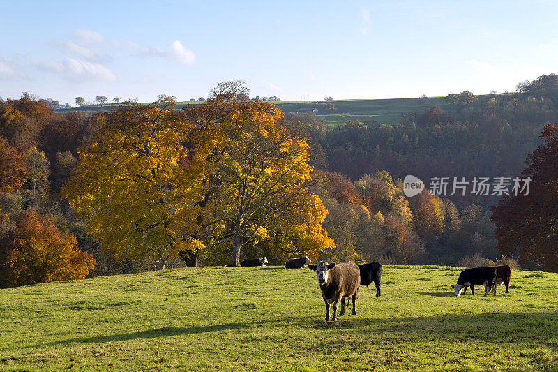 风景如画的Cotswolds-Autumn