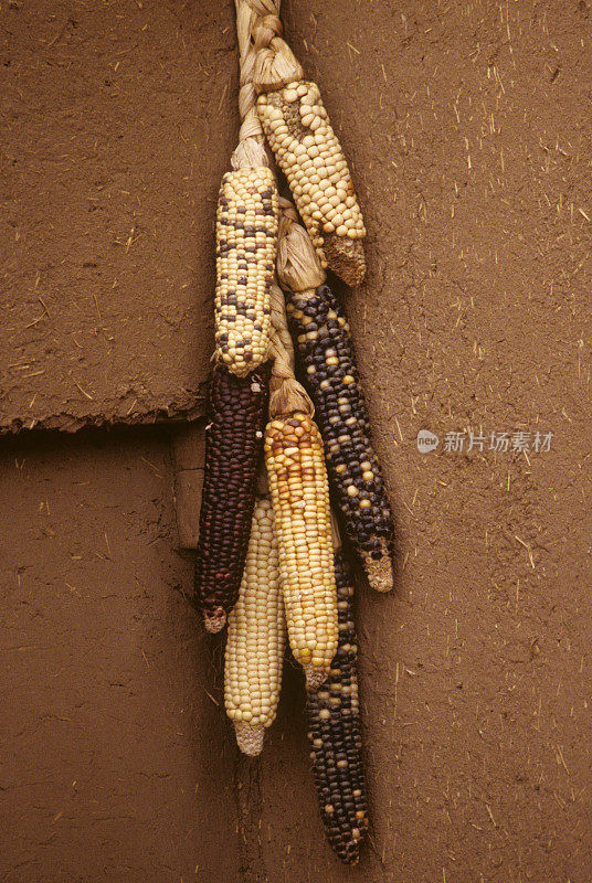 土坯墙上的印第安玉米