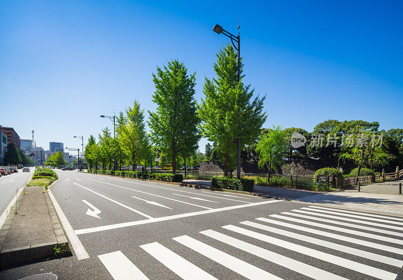 城市市区的天际线