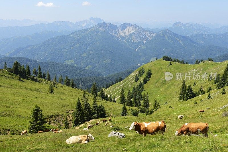 令人惊叹的巴伐利亚风景