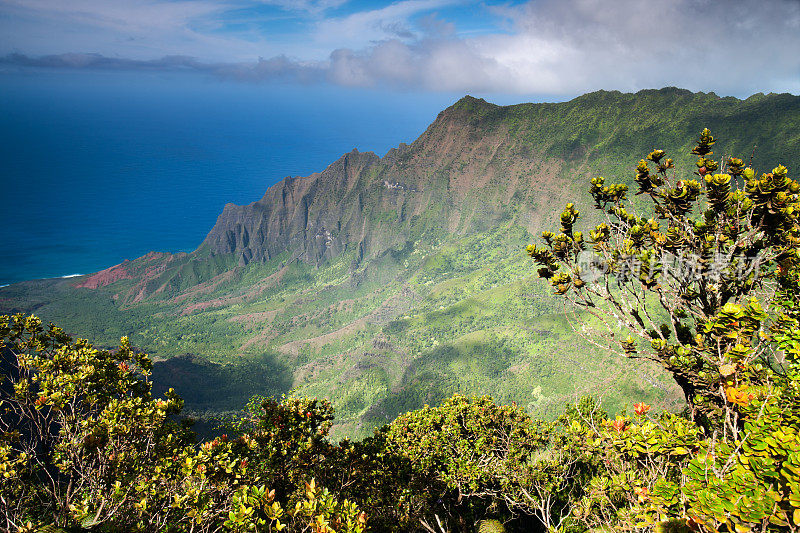 夏威夷考艾岛卡拉劳瞭望台的著名景观。