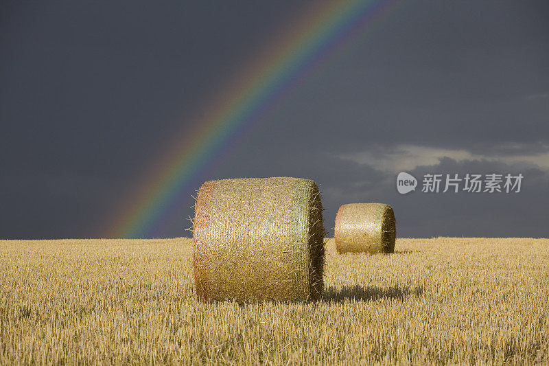 稻草或干草包，天空阴沉，有彩虹