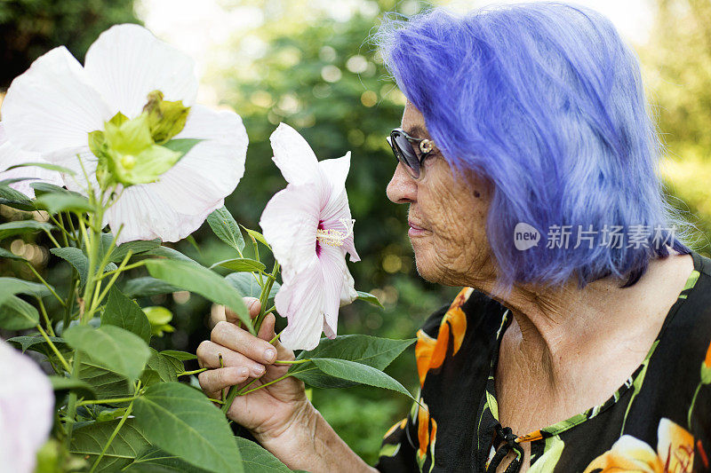 园艺。带着花草的老妇人。