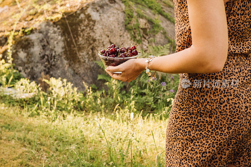 夏天在户外吃樱桃浆果的女人