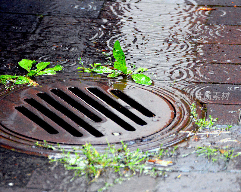 暴雨后排水