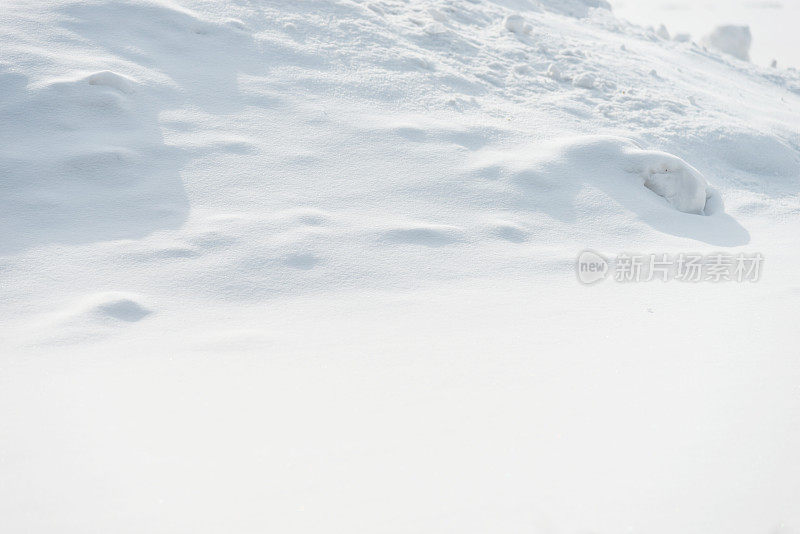 白雪背景的特写