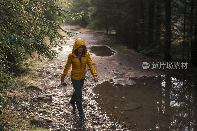 回归自然。独自在树林里行走的旅行者。一个快乐的年轻女游客漫步在大自然中。阳光明媚的日子里在森林里的户外享受。