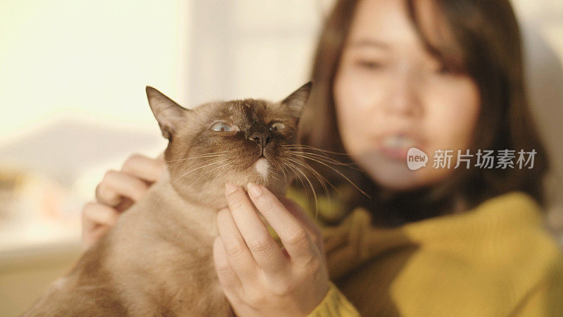 一个年轻女子在卧室的床上玩她的宠物猫。