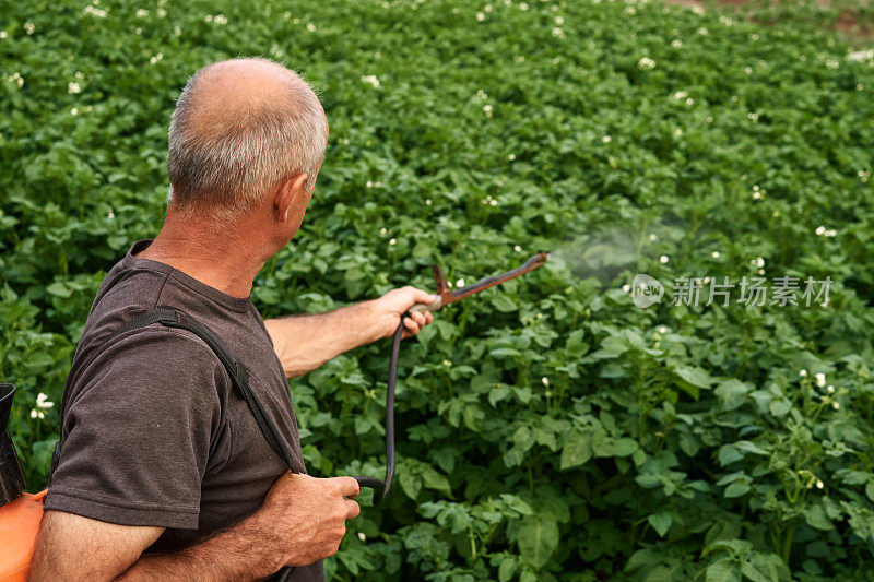 马铃薯种植中使用手动喷雾器的农民