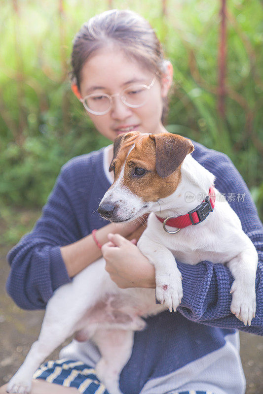 亚洲家庭十几岁的女孩玩好玩的她的宠物杰克罗素梗狗在花园在夏天的早晨