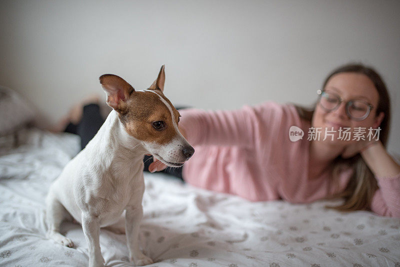 一个年轻的女人和她的小狗杰克罗素梗狗玩耍