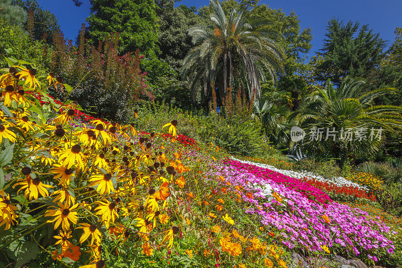 五彩缤纷的花园，田园般的科莫湖，放松风景，意大利