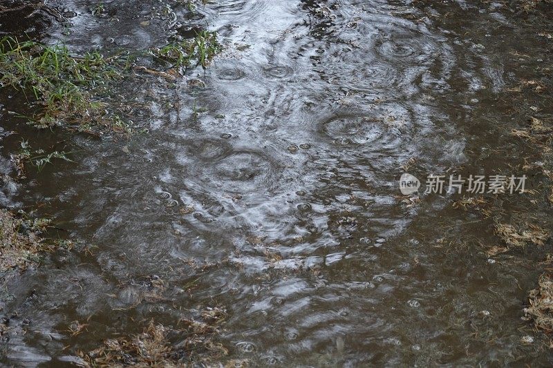 水坑与雨滴